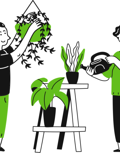 service-feature-1 service-feature-1